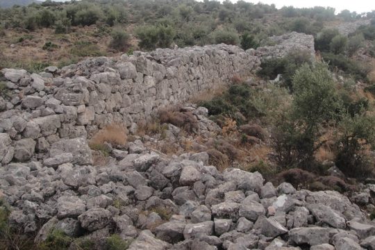 arxaio teixos dema fyli